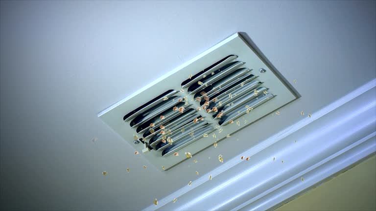 Best HVAC Maintenance and Cleaning  in Bear Rocks, PA